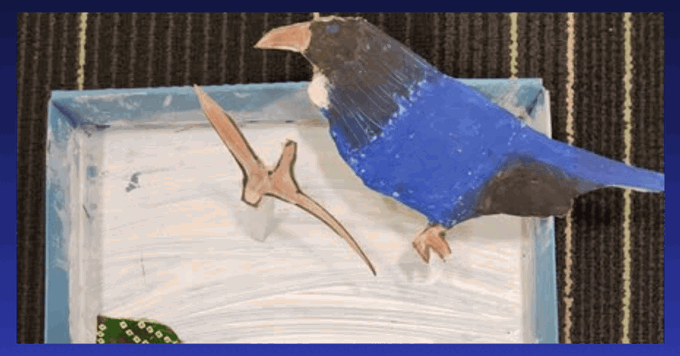 OurAuckland cover photo 3D bird_usrp12wj.png