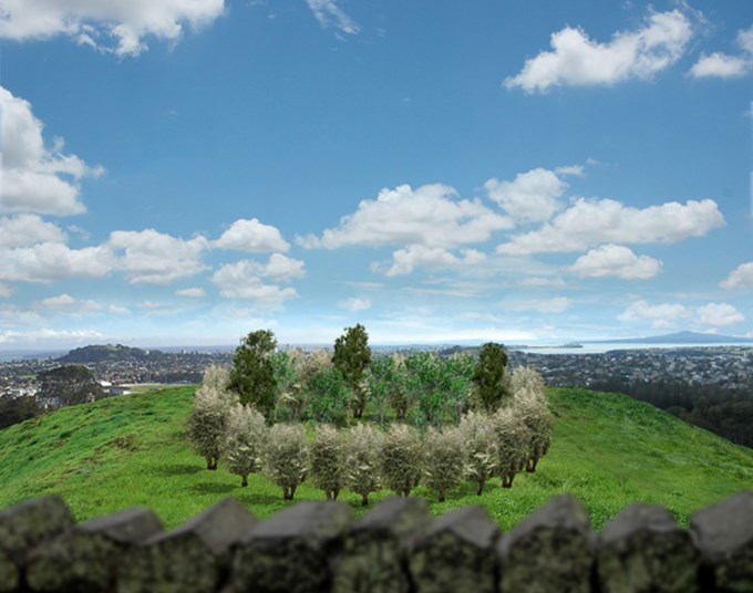 Maungakiekie/One Tree Hill planting symbol of new Auckland 4