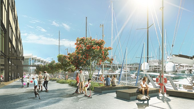 Luxury hotel for Auckland's waterfront4