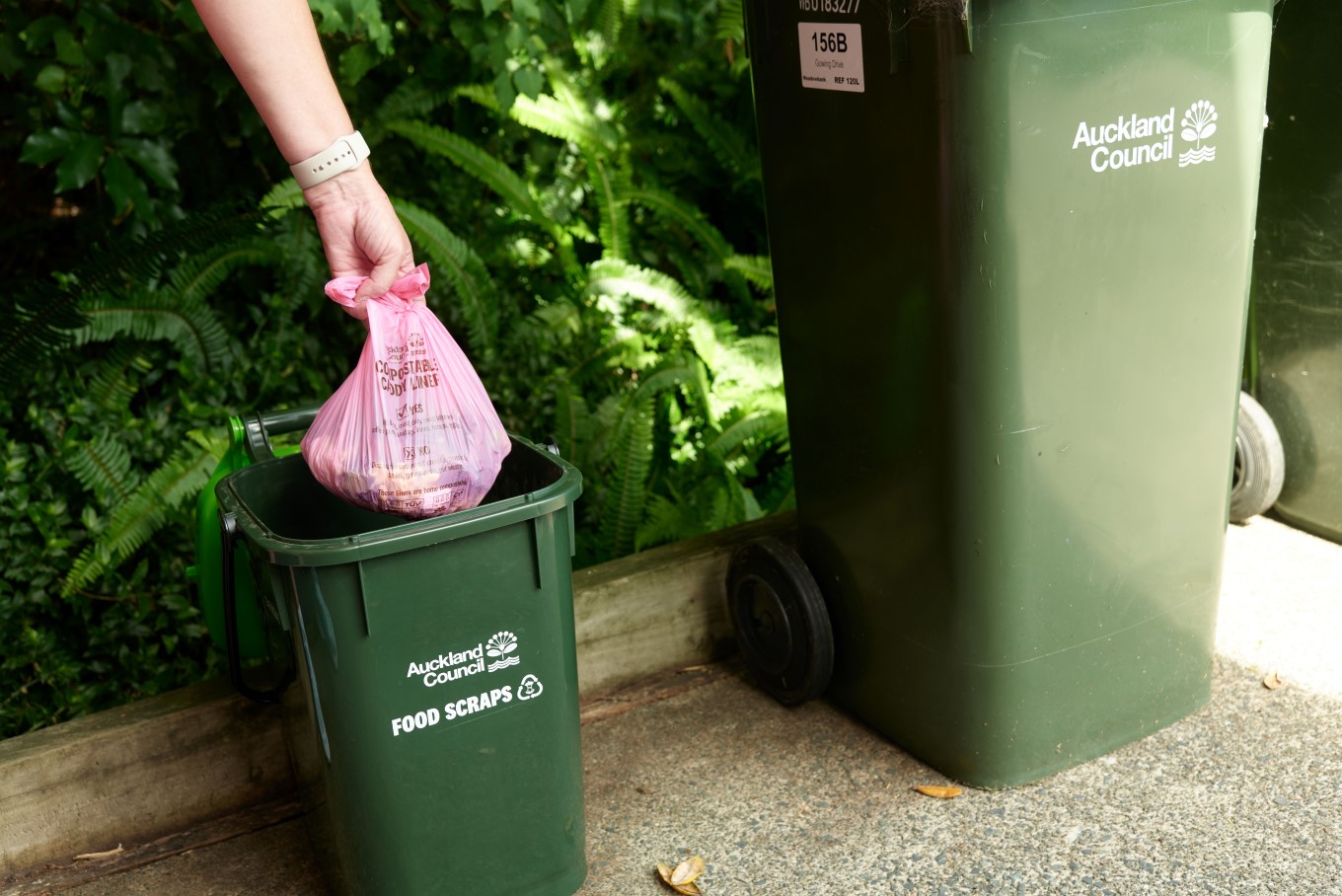 Waste going into the food scraps bin.