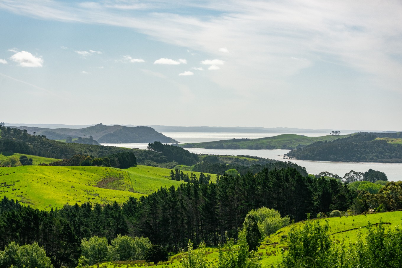The forest covered areas of Atiu Regional Park. 
