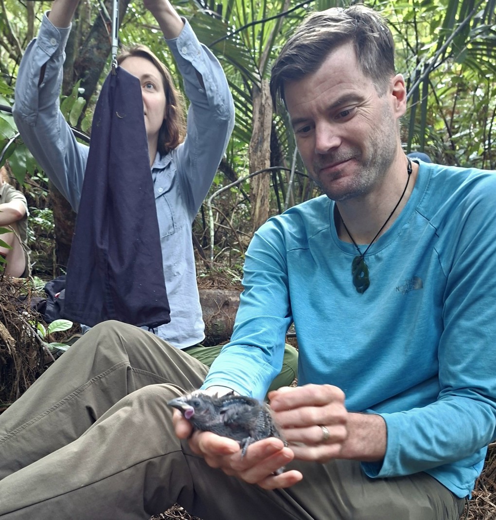 A bird in someone's hand
