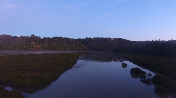 Image Of Kaipataki Creek
