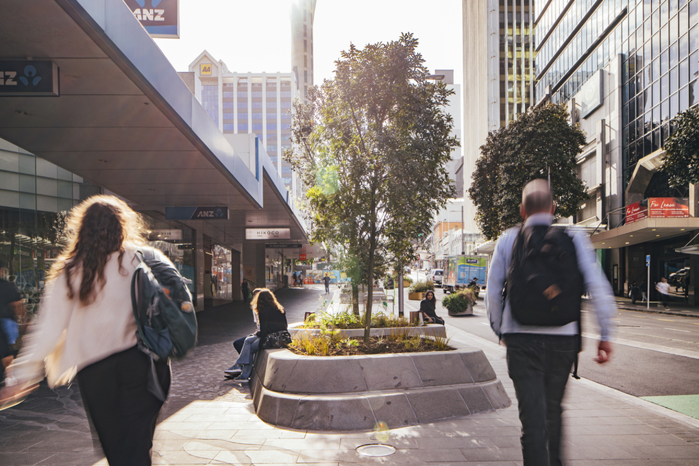 Auckland City Centre