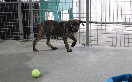 Wiltshire tile image