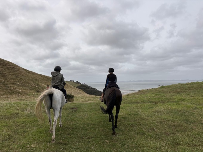 Te Rau Puriri And Kaipara Harbour