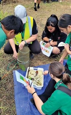 Year 9 students at Aorere College collecting and analysing water samples of their local awa