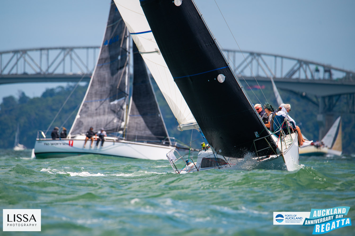 Auckland Anniversary Day Regatta 2024 - OurAuckland