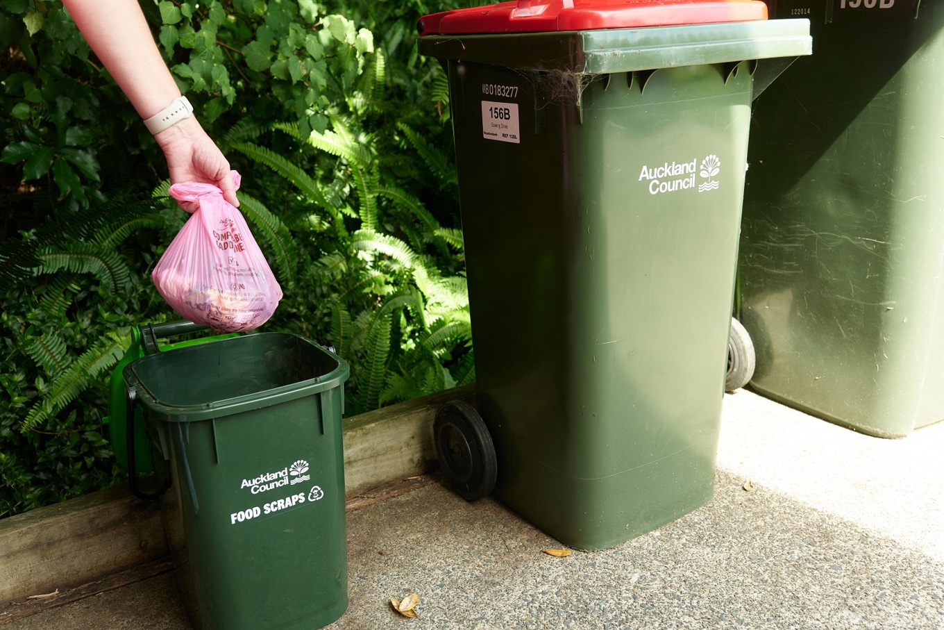 Auckland Council set to begin one of the largest food scraps