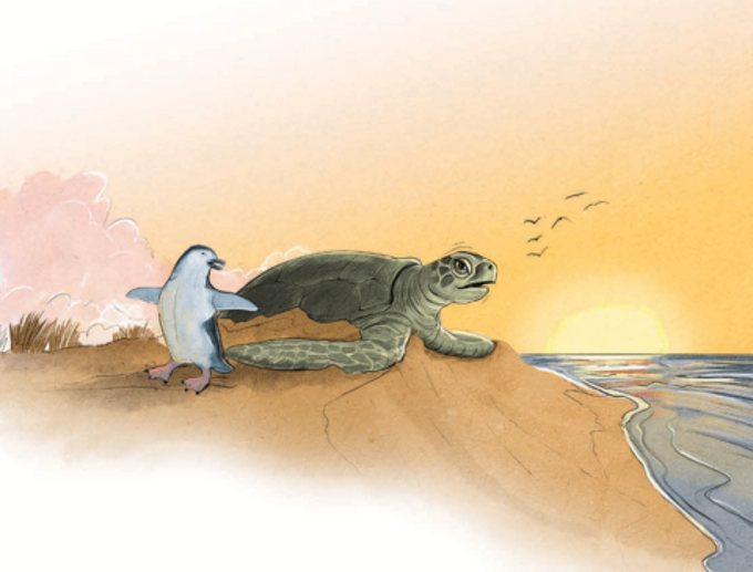 Our Auckland Honu and Blues_z0xg31ep.png