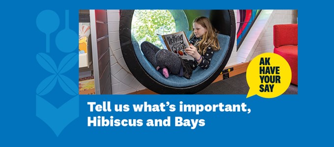 Give feedback on the Hibiscus and Bays Local Board Plan