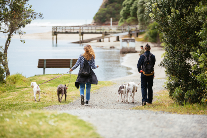 Top Tips For A Happy Howliday 2