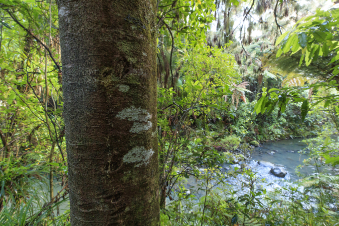 Wider scope for Franklin waterway fund