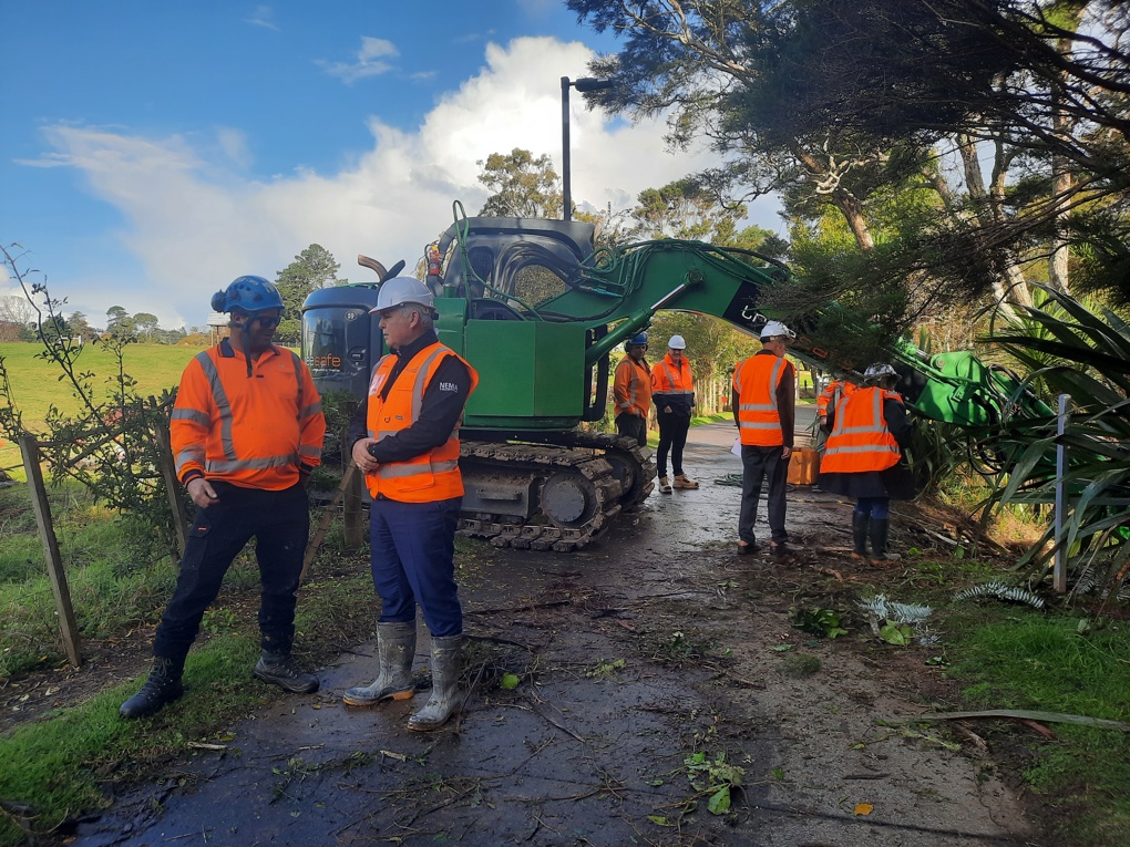 Workers clearing folliage from storms