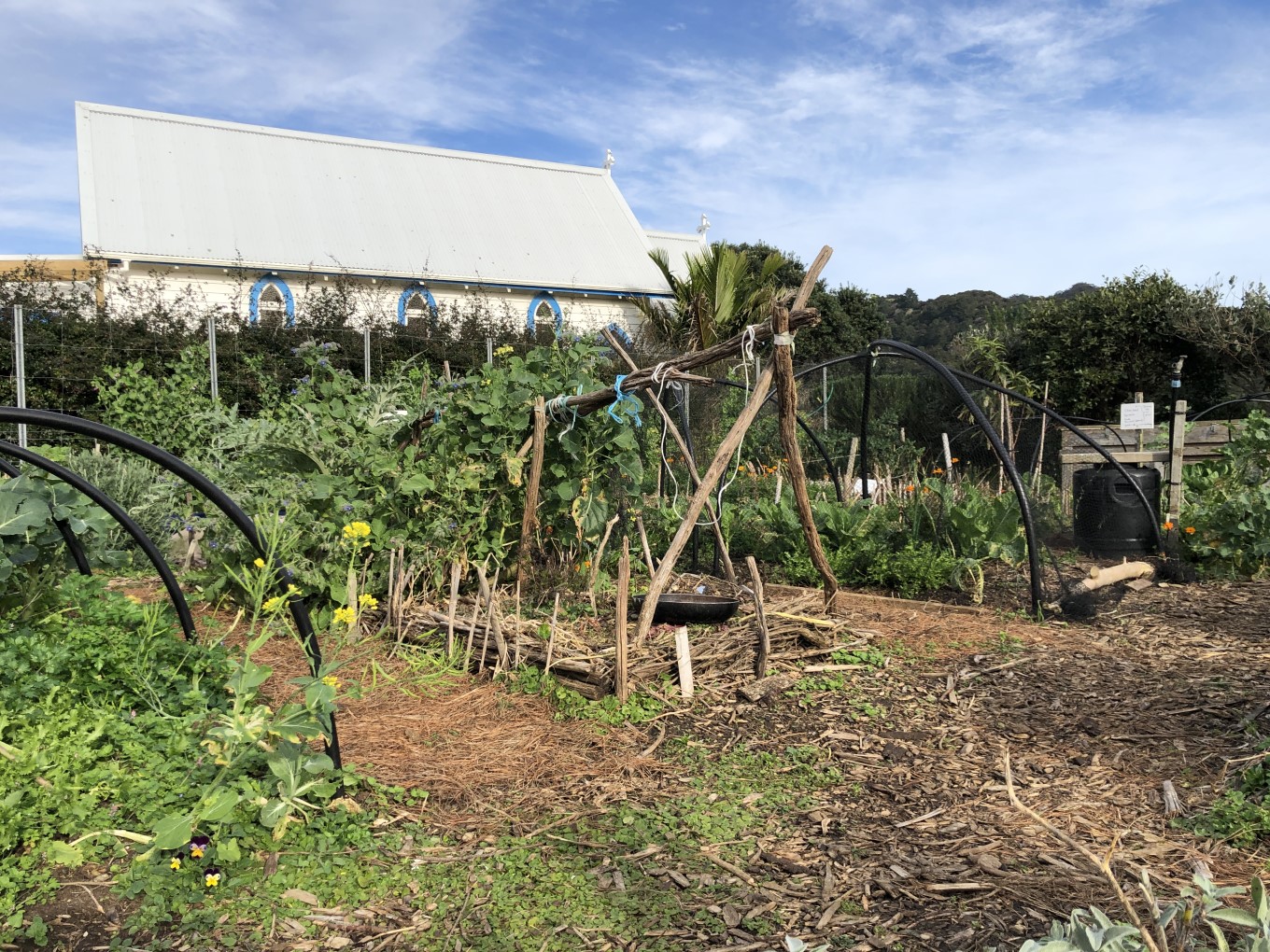 Medlands Community Garden