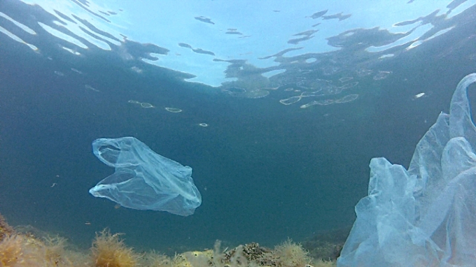 Five simple swaps to turn your habits from plastic to fantastic 3