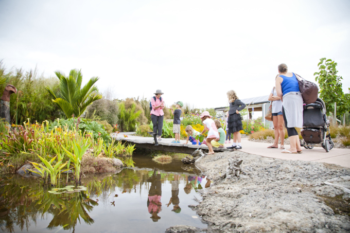 8 free things to do in Auckland (1)