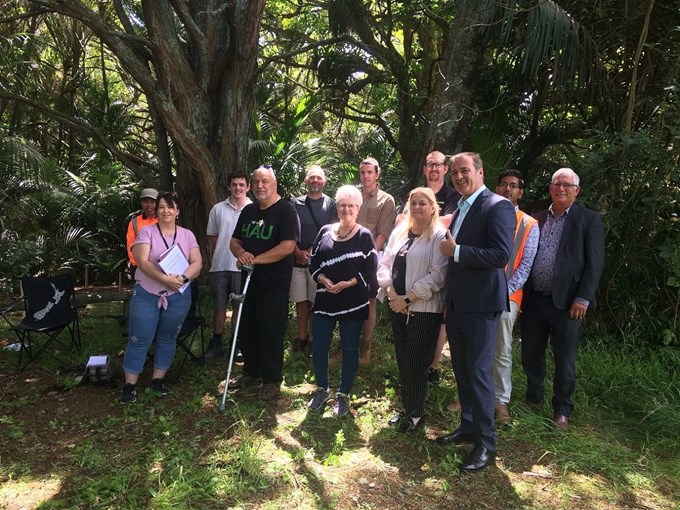 Currys Bush Reserve track upgrades to protect kauri