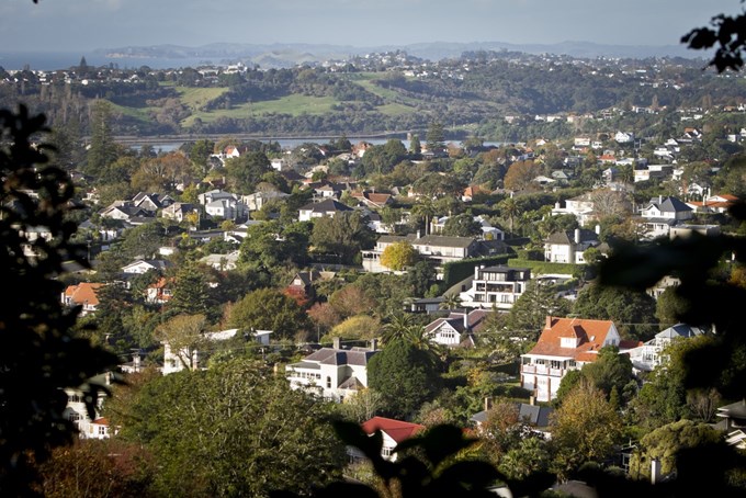 Auckland Council Provides LIM Transparency For Property Categorisation Image
