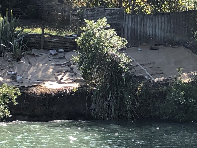 Torbay gem gets a helping hand (1)