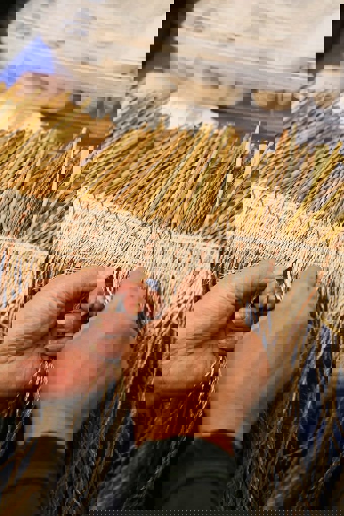 tamaoho_trust_26 raranga_dkhka031.jpeg