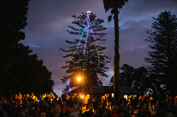 Christmas tree in local park