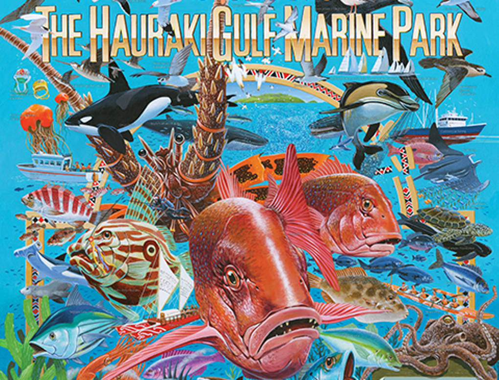 2020 Hauraki Gulf Marine Park poster