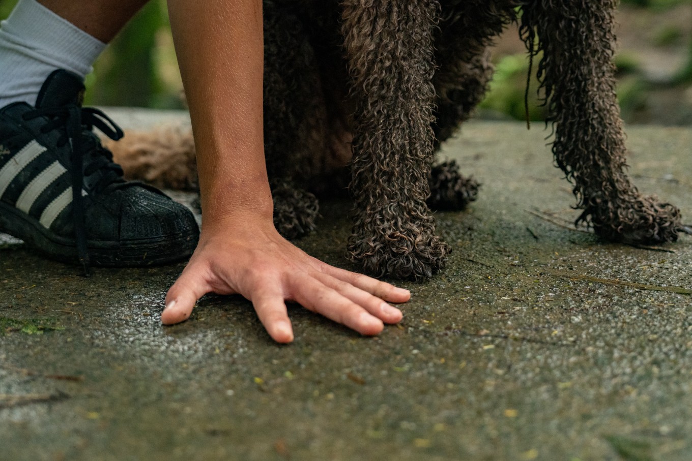 A human hand and a dog paw on the concrete. 
