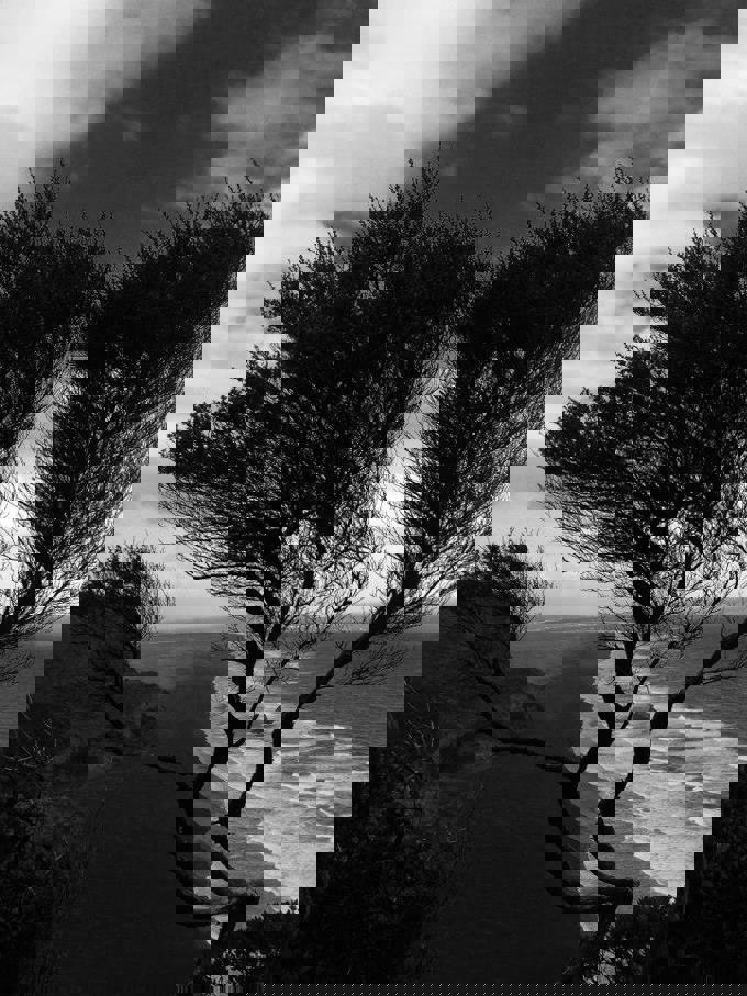 Hillary Trail scenery (14)