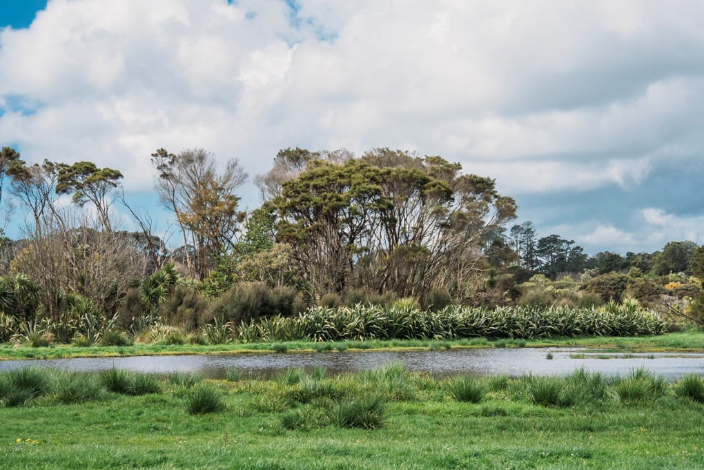 Waiatarua Reserve