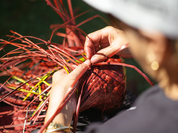 Engage in a Māori worldview in Wesley