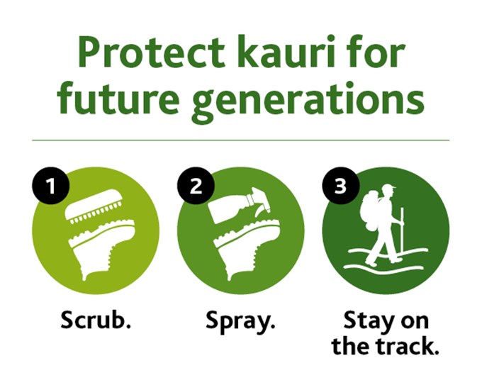 Kauri dieback three steps sticker