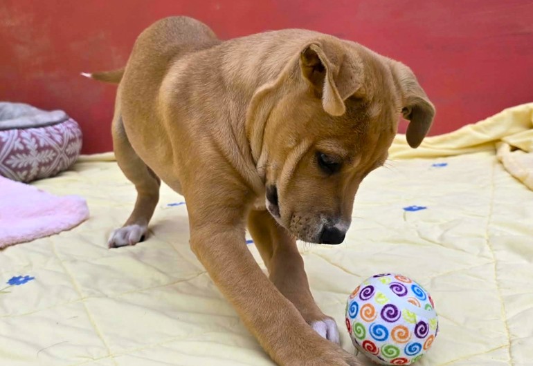 662820235 4385150685103875 29772052539669890 N