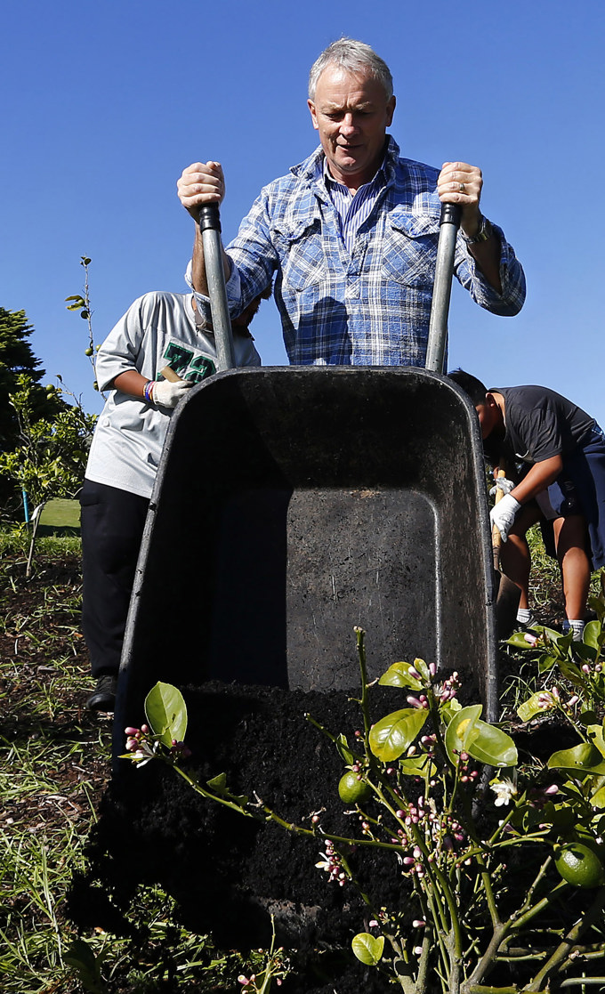 Matariki million trees