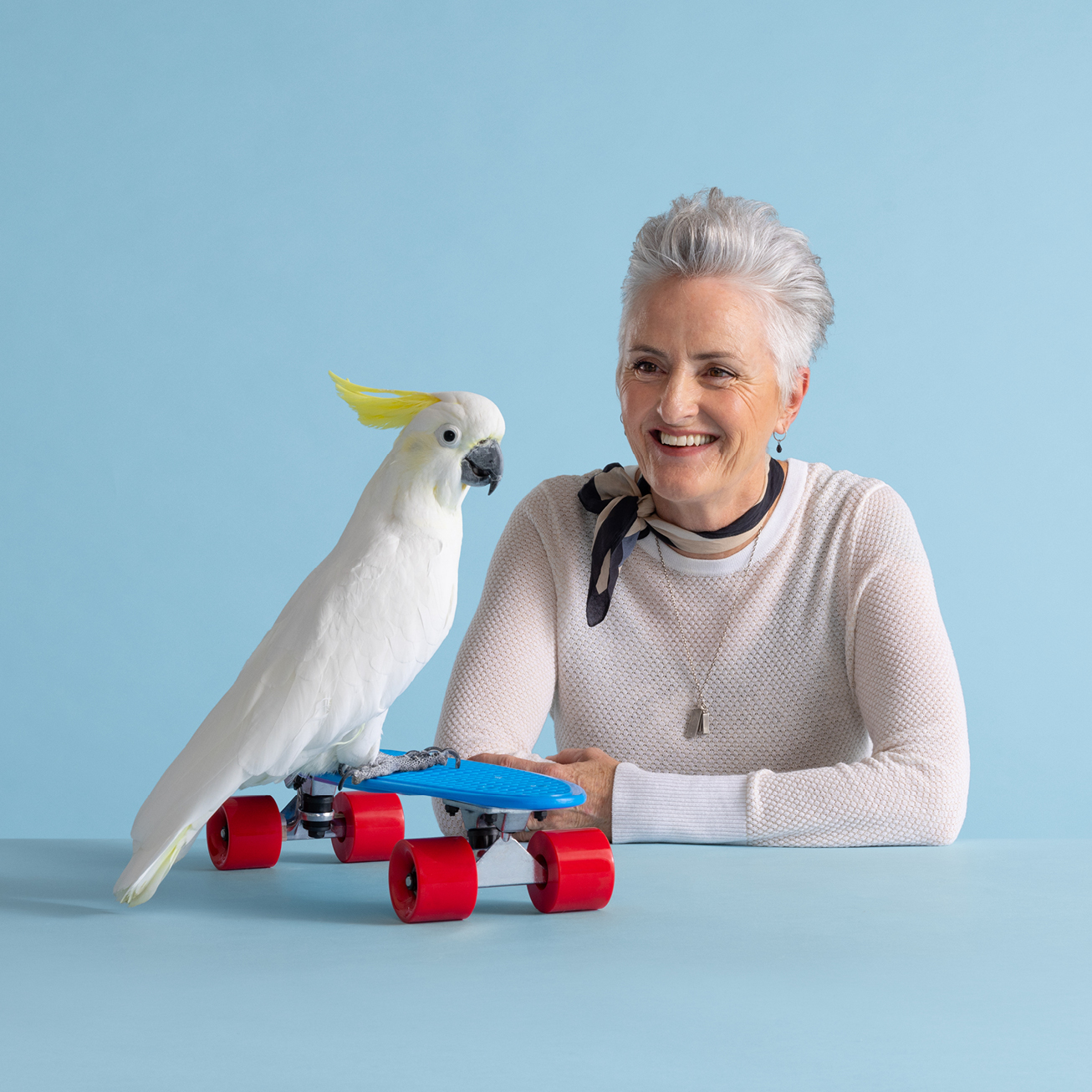 Lady looking at cockatiel that is perched on a skateboard