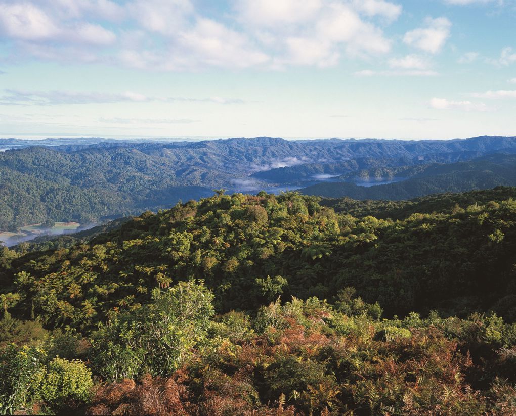 Hunua 1080 drop