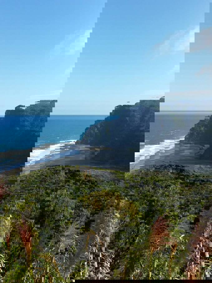 Hillary Trail scenery (12)