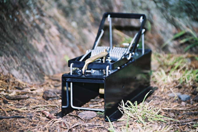 Rat hunt underway on Rakino Island