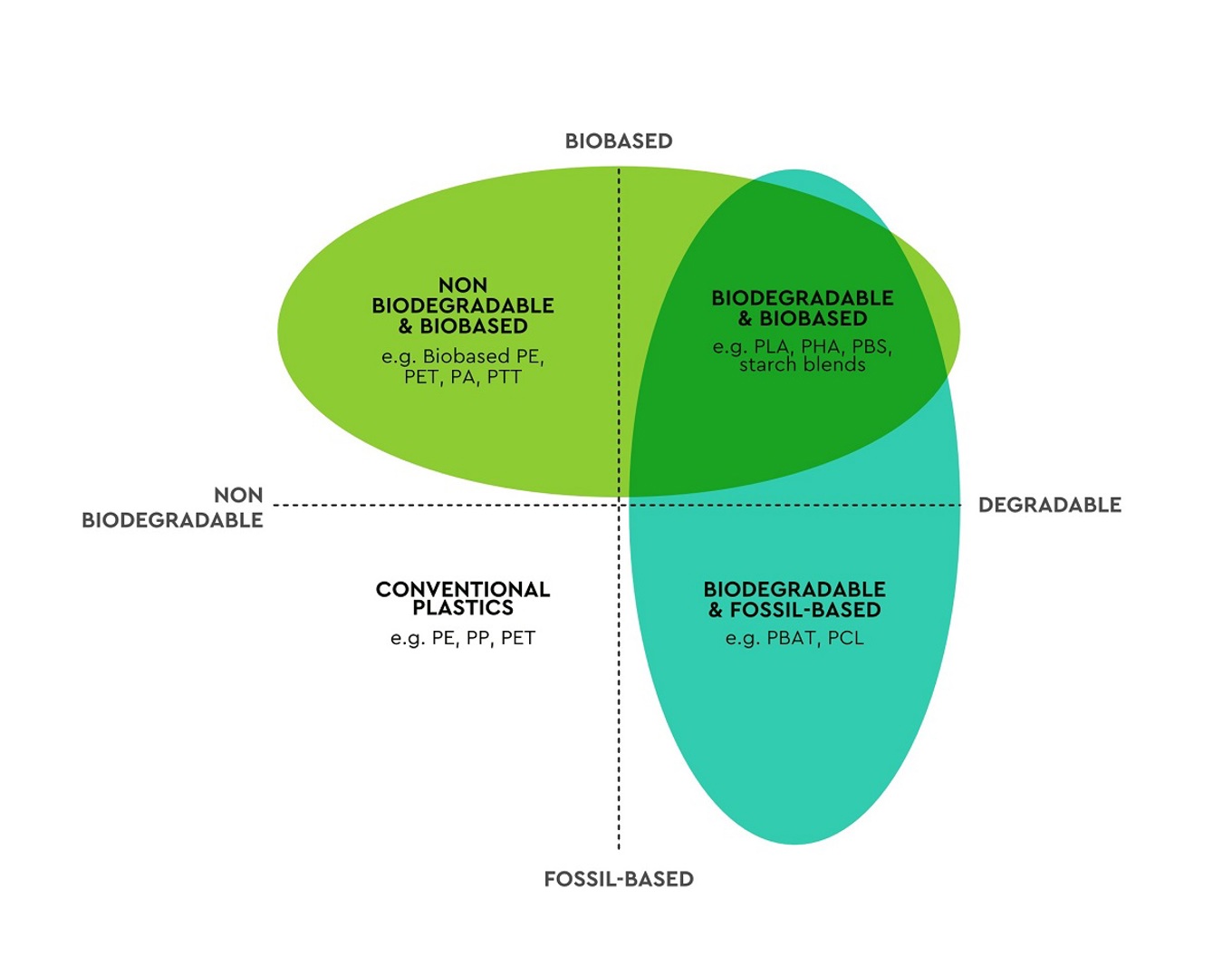 What does compostable or biodegradable really mean? - OurAuckland