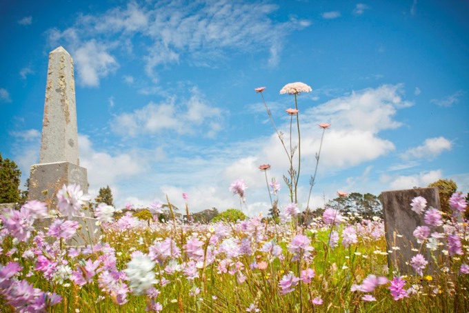 Walks out West that are not in the Waitakeres
