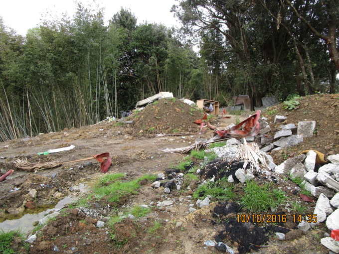 Record sentence for property developer