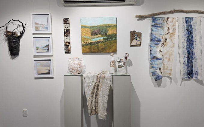 20250303_140109 cropped_oojzcapn.jpg