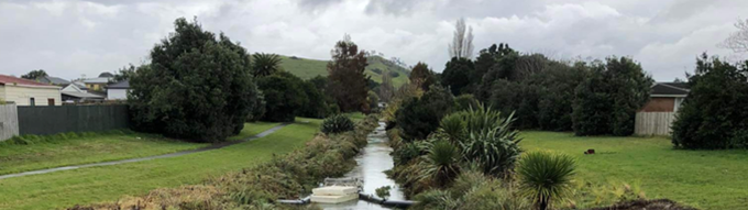 Mangere sod turning (3)
