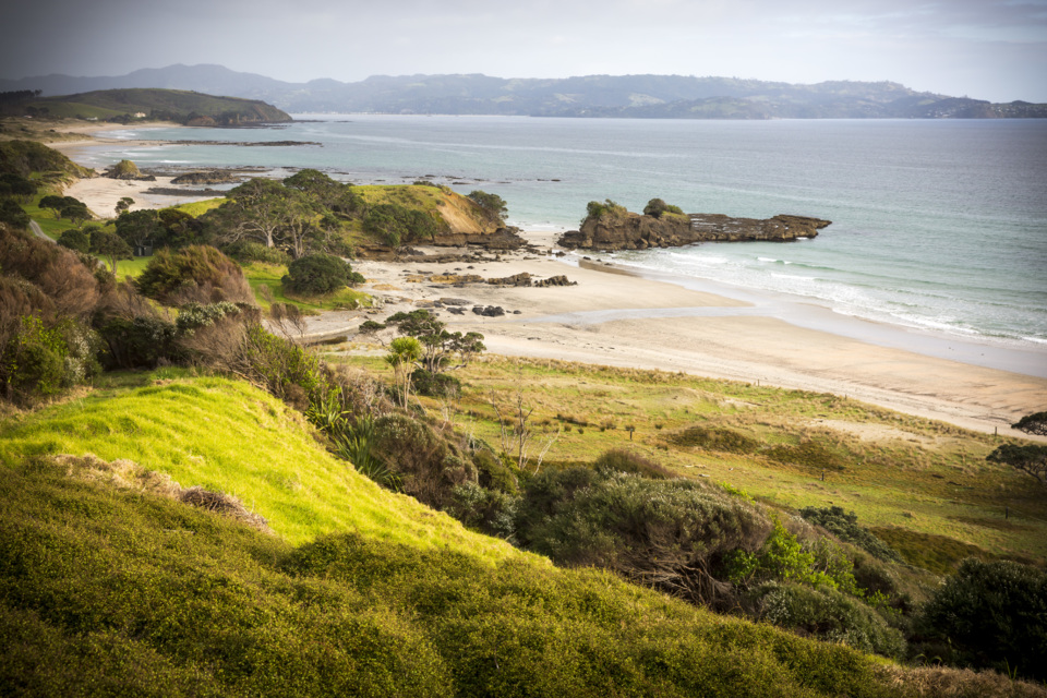 Auckland Council parks among the best in the world - OurAuckland