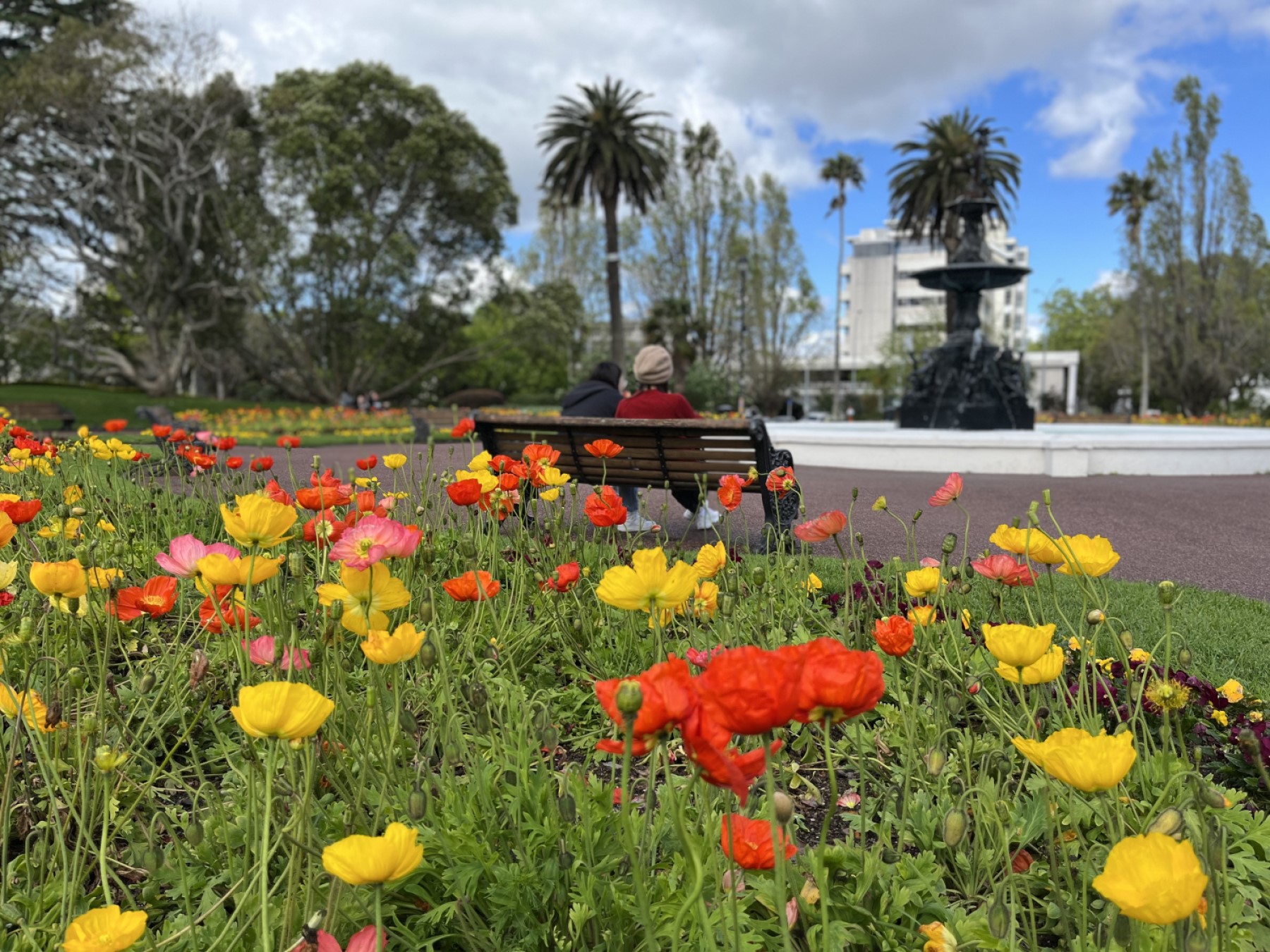 Adding a splash of colour to Auckland’s cityscape OurAuckland