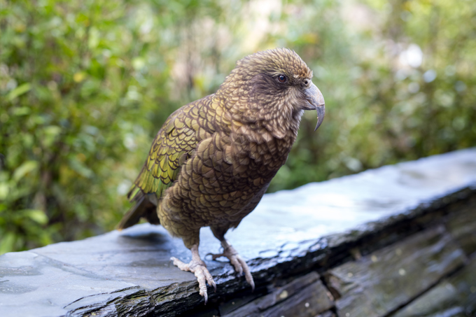 Behind The Scenes Competition AZ