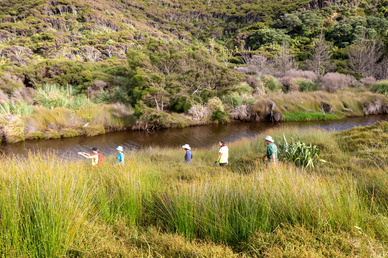 Five people walking through scrub to a stream.