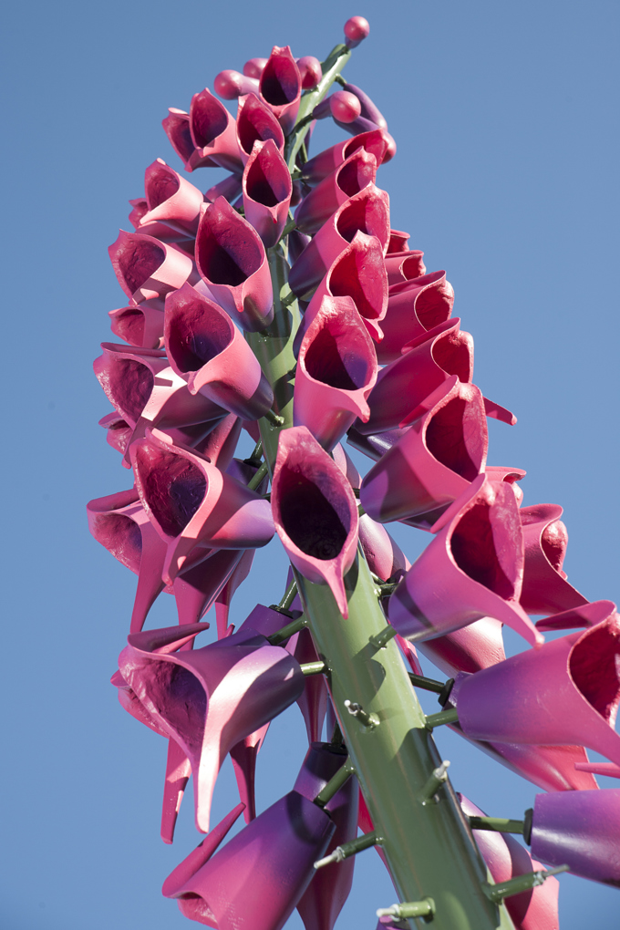 0745_John Ferguson_Khulu.jpg