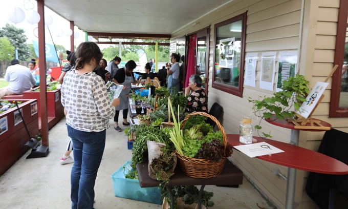 Te Ahi Komau brings indigenous kai to the forefront (1)