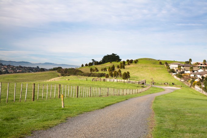 Farming and stock on Auckland Council land